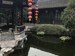 -溱湖国家湿地公园