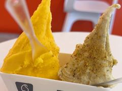 -野人先生现做冰淇淋(北京王府井东方新天地店)
