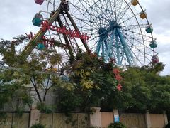 -巨鹏飞梦幻海岸