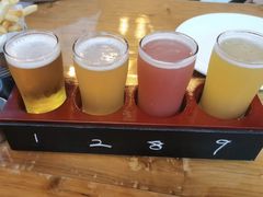 啤酒试饮-Twin Tails Brewpub双尾精酿餐吧(八坼店)