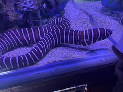 -太平洋海底世界