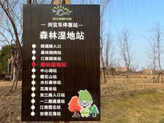 -上海滨江森林公园