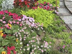 -不起眼麻辣烫凉皮店