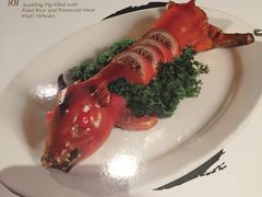 原只乳猪焗饭半只-8餐厅(新葡京酒店)