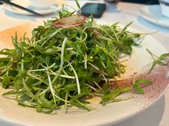 -凤凰湘语(浦东旗舰店)