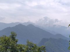 -陕西省红河谷森林公园