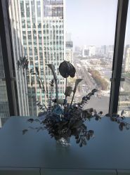 -颜蕾医美·黄金微针·水光·玻尿酸·超声炮·抗衰中心