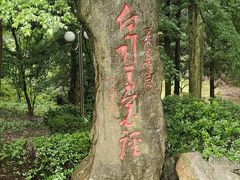 -庐山风景区花径公园