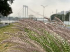 -怡海公园(桂城街道)