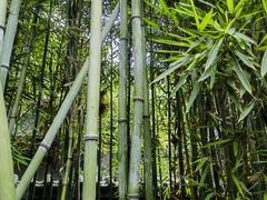 -成都杜甫草堂博物馆