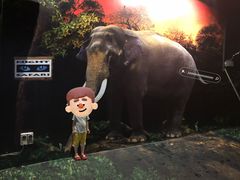 -夜间野生动物园