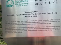-香港大学