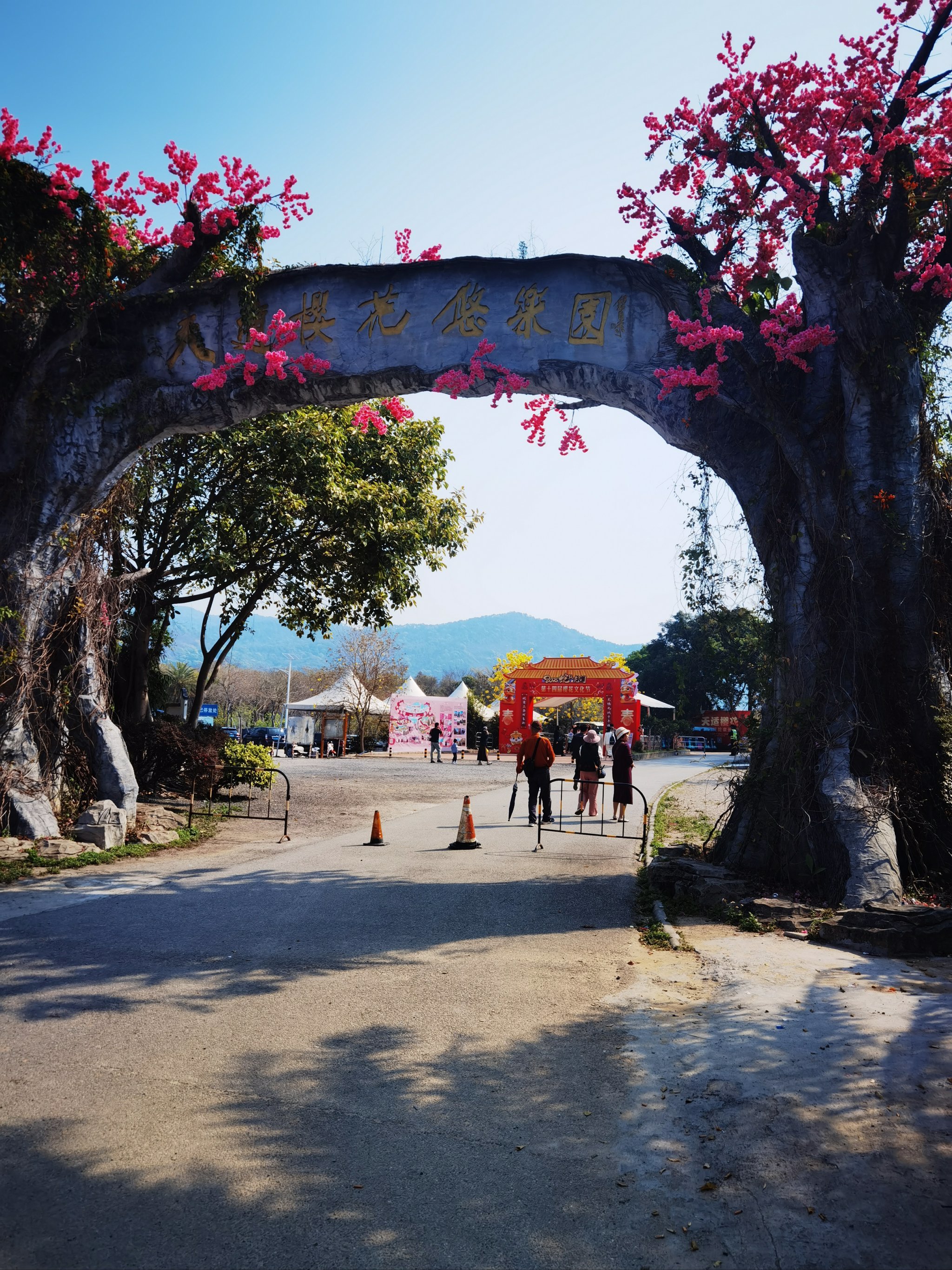 抓住樱花🌸季的尾班车,打卡天适樱花