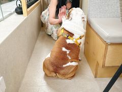 -BeauTea水仙(coco park店)