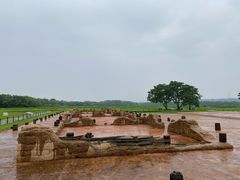 -盘龙城国家考古遗址公园