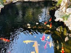-鲤院·新中式美学·庭院餐厅(夫子庙店)