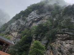 -青峰峡国家森林公园