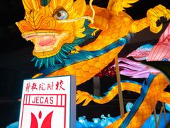 -上海市静安区教育学院附属学校(江宁校区)