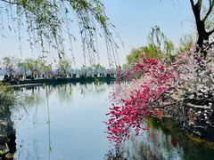 -无锡蠡湖国家湿地公园-蠡园