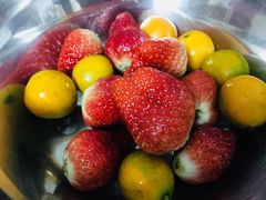 -香港食盈碗仔翅(黄边旗舰店)