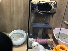 -米卢宠物公园(广华居店)