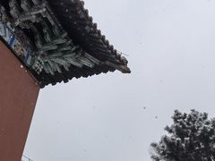 -北陵公园