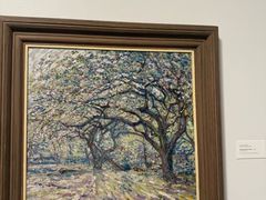 -旧金山现代艺术博物馆