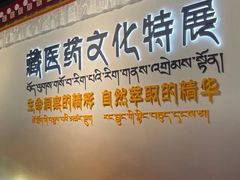 -广东中医药博物馆