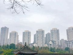 -龙头寺公园