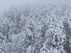 -贡嘎雪山