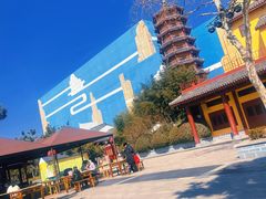 -青岛方特梦幻王国