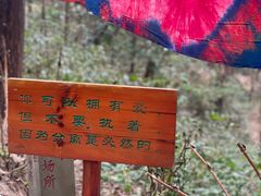 -寂照庵