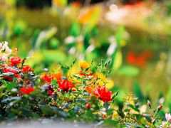 -人民公园(罗湖区)