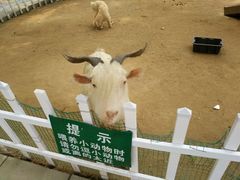 -北戴河集发农业梦想王国