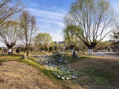 -汉长安城未央宫国家考古遗址公园