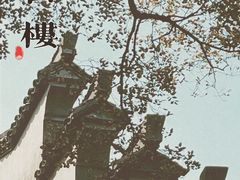 -上海醉白池公园