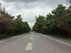 -日照海滨国家森林公园
