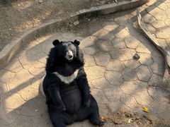 -无锡动物园·太湖欢乐园