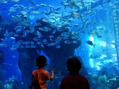 -成都浩海立方海洋公园