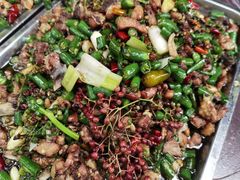 -铁山坪森林公园