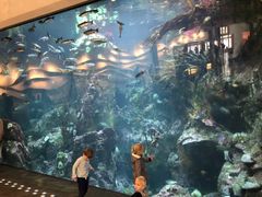 -西雅图水族馆