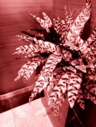 -Yestar杭州艺星医疗美容医院