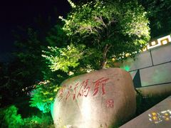 -武汉两江游览·夜游长江(汉口粤汉码头)