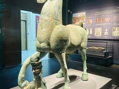 -广西壮族自治区博物馆