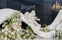 -明典婚礼策划·婚车租赁·婚纱摄影