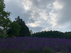 -富田农场