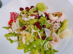 -蝶舍·MAISON PAPILLON