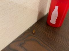 -兄弟砂锅(陆家巷店)