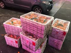 -双福水果批发市场