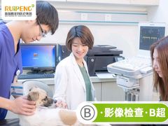 -艾贝尔宠物医院·狂犬免疫点(江山金象城店)